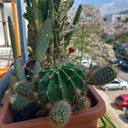 Апартаменти Atelje Подгориця Екстер'єр фото